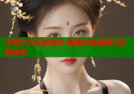 半糖次元还能换吗 便捷约稿摆摊社区新体验