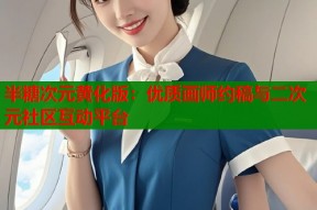 半糖次元黄化版：优质画师约稿与二次元社区互动平台