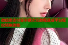 微信换支付宝半糖次元教程速成平台轻松转账体验