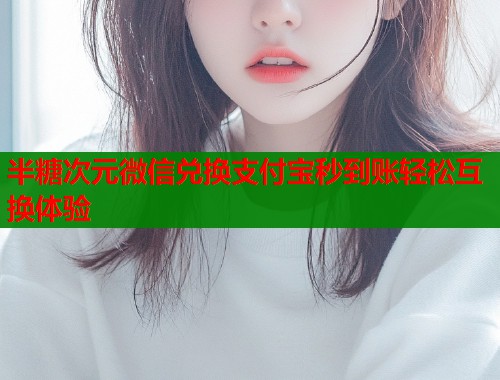 半糖次元微信兑换支付宝秒到账轻松互换体验  第1张