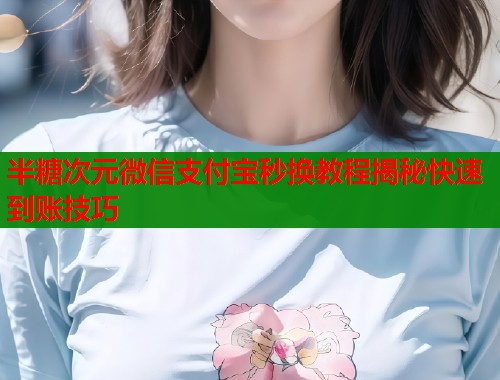 半糖次元微信支付宝秒换教程揭秘快速到账技巧  第2张