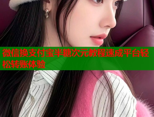微信换支付宝半糖次元教程速成平台轻松转账体验  第1张